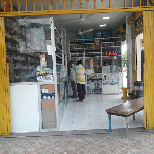 Farmacia Portoviejo