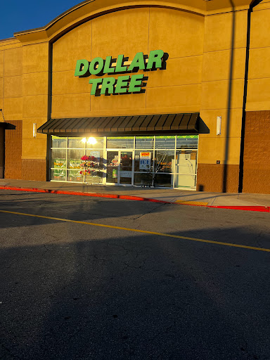 Dollar Store «Dollar Tree», reviews and photos, 2540 Cumberland Blvd SE, Smyrna, GA 30080, USA