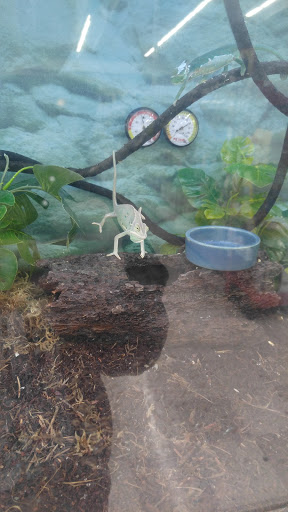 Pet Supply Store «Petco Animal Supplies», reviews and photos, 6067 Greenback Ln, Citrus Heights, CA 95621, USA