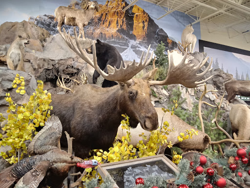 Outdoor Sports Store «Field & Stream», reviews and photos, 5215 Century Ave, Kalamazoo, MI 49006, USA