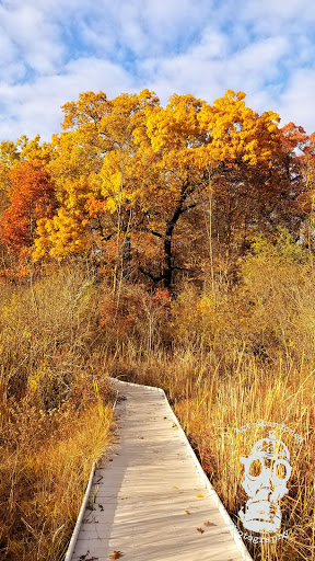 Nature Preserve «Jackson Bog State Nature Preserve», reviews and photos, 7984 Fulton Dr NW, Massillon, OH 44646, USA