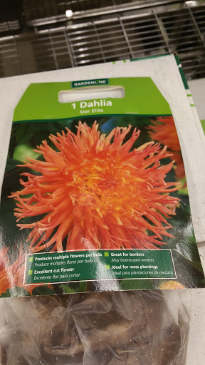 Supermarket «ALDI», reviews and photos, 14620 Greyhound Plaza, Carmel, IN 46032, USA