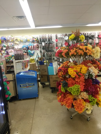 Dollar Store «Dollar Tree», reviews and photos, 45 Raritan Ave #2, Raritan, NJ 08869, USA