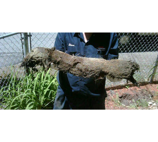 Plumber «Roto-Rooter Plumbing & Drain Services», reviews and photos, 410 School St #1, Lowell, MA 01851, USA