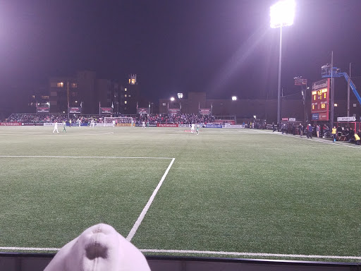 Soccer Field «Belson Stadium», reviews and photos, 80-00 Utopia Pkwy, Jamaica, NY 11432, USA