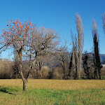 Photo n°14 de l'avis de filippo.l fait le 02/01/2020 à 18:20 sur le  Ristorantino Il Sovrano à Sant'Anatolia di Narco