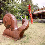 Photo n°2 de l'avis de MrAlessandroid. fait le 14/08/2018 à 21:05 sur le  Ristorante Albergo Lago Verde à Soanne