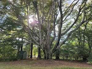New Jersey Botanical Garden - photo 14