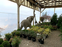 Ken-Mulch - Photo 4 - Car repair in Louisville, KY, Louisville