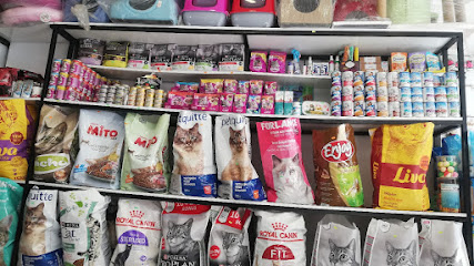 Evcil Pet Shop