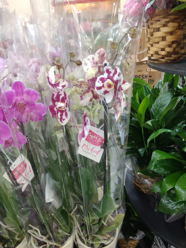 Grocery Store «H-E-B Grocery», reviews and photos, 3590 College St, Beaumont, TX 77701, USA