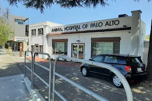 Animal Hospital of Palo Alto image