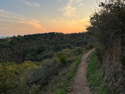 Butte de Narbonne à Saint-Léonard-des-Bois