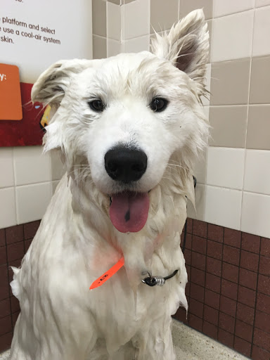 Pet Supply Store «Petco Animal Supplies», reviews and photos, 1150 Concord Ave #160, Concord, CA 94520, USA