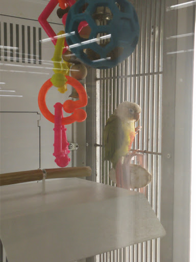 Pet Supply Store «Petco Animal Supplies», reviews and photos, 545 W Prien Lake Rd, Lake Charles, LA 70601, USA