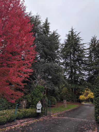 Park «McAuliffe Park», reviews and photos, 10824 NE 116th St, Kirkland, WA 98034, USA