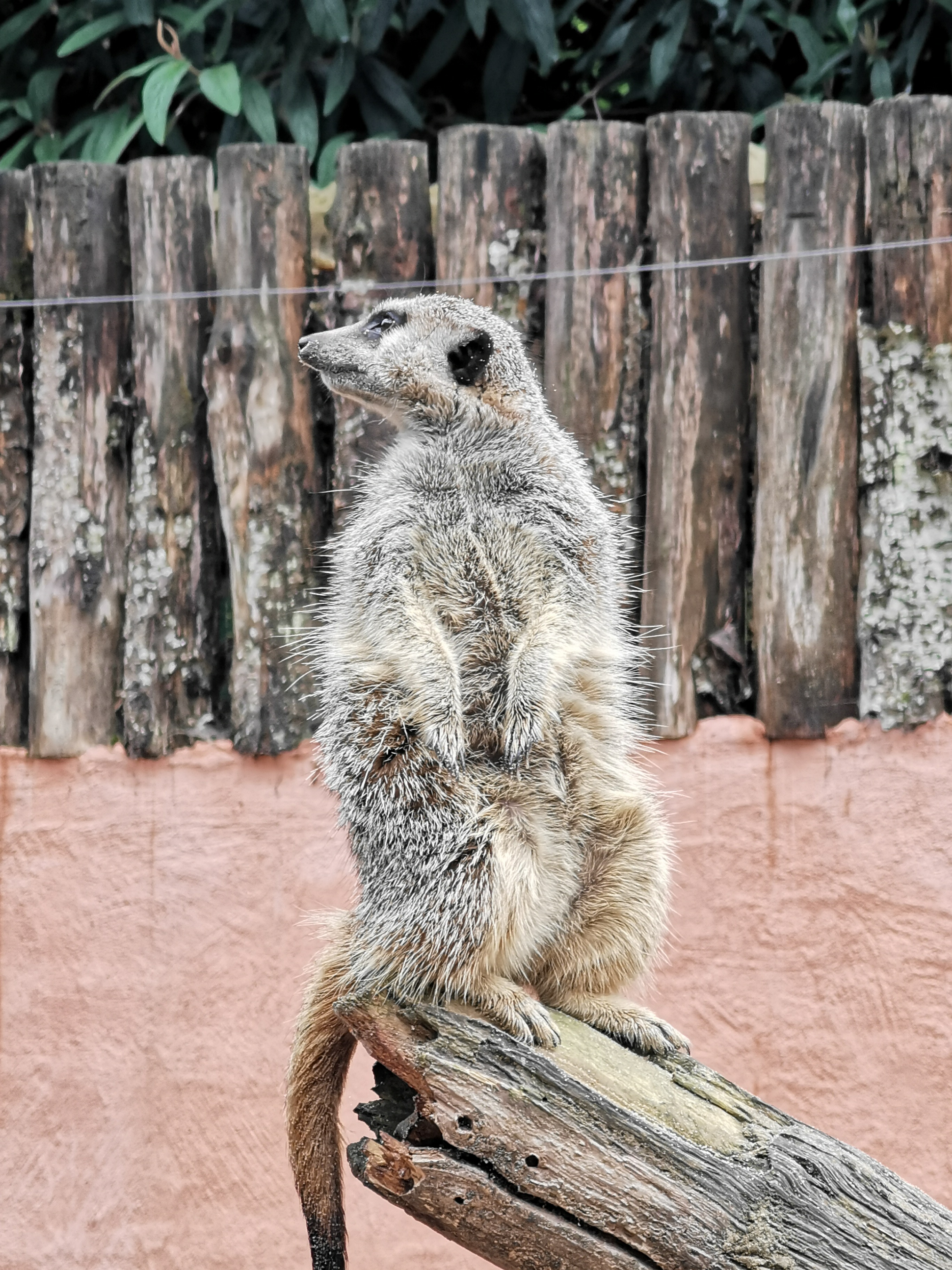Photo n° 9 de l'avis de Bianca.a fait le 05/06/2022 à 15:50