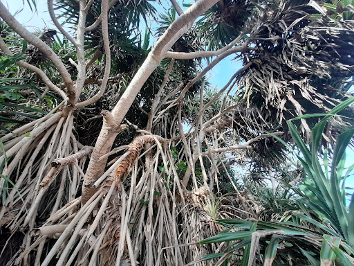 Top 20 cửa hàng akemi Huyện Lý Sơn Quảng Ngãi 2022