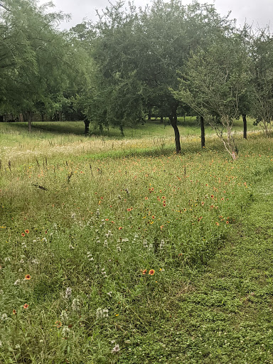 Park «Terry Hershey Park», reviews and photos, 15200 Memorial Dr, Houston, TX 77079, USA