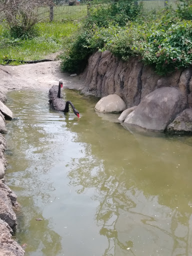 Park «Franklin Park», reviews and photos, 1 Franklin Park Rd, Boston, MA 02121, USA