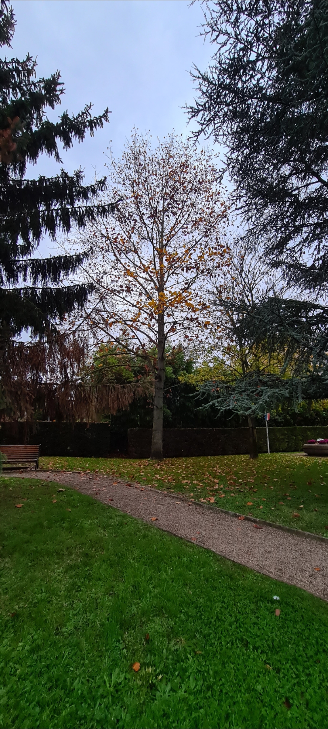 Photo n° 5 de l'avis de Murad. fait le 18/11/2022 à 16:47