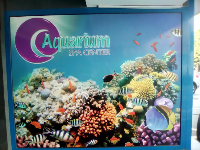 Aquarium Spa - Maseur