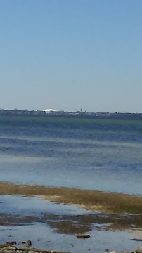 City Wide Laundry - Photo 2 - Car repair in Tampa, FL, Tampa