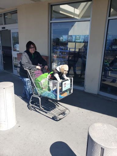 Home Improvement Store «The Home Depot», reviews and photos, 20 Farber Dr, Bellport, NY 11713, USA