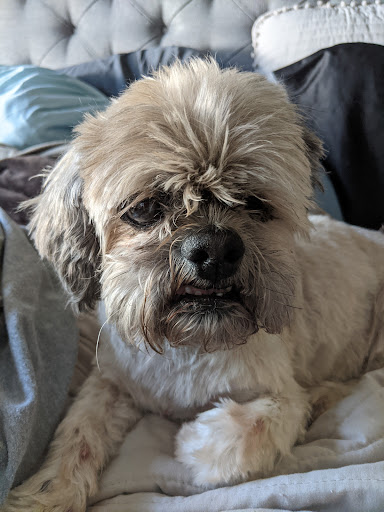 Pet Supply Store «Petco Animal Supplies», reviews and photos, 2210 N Eagle Rd, Meridian, ID 83646, USA