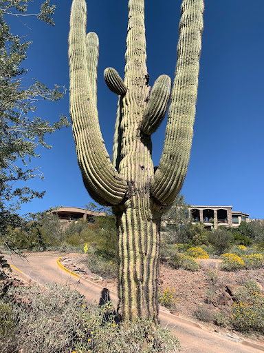 Golf Course «Eagle Mountain Golf Club», reviews and photos, 14915 Eagle Mountain Pkwy, Fountain Hills, AZ 85268, USA