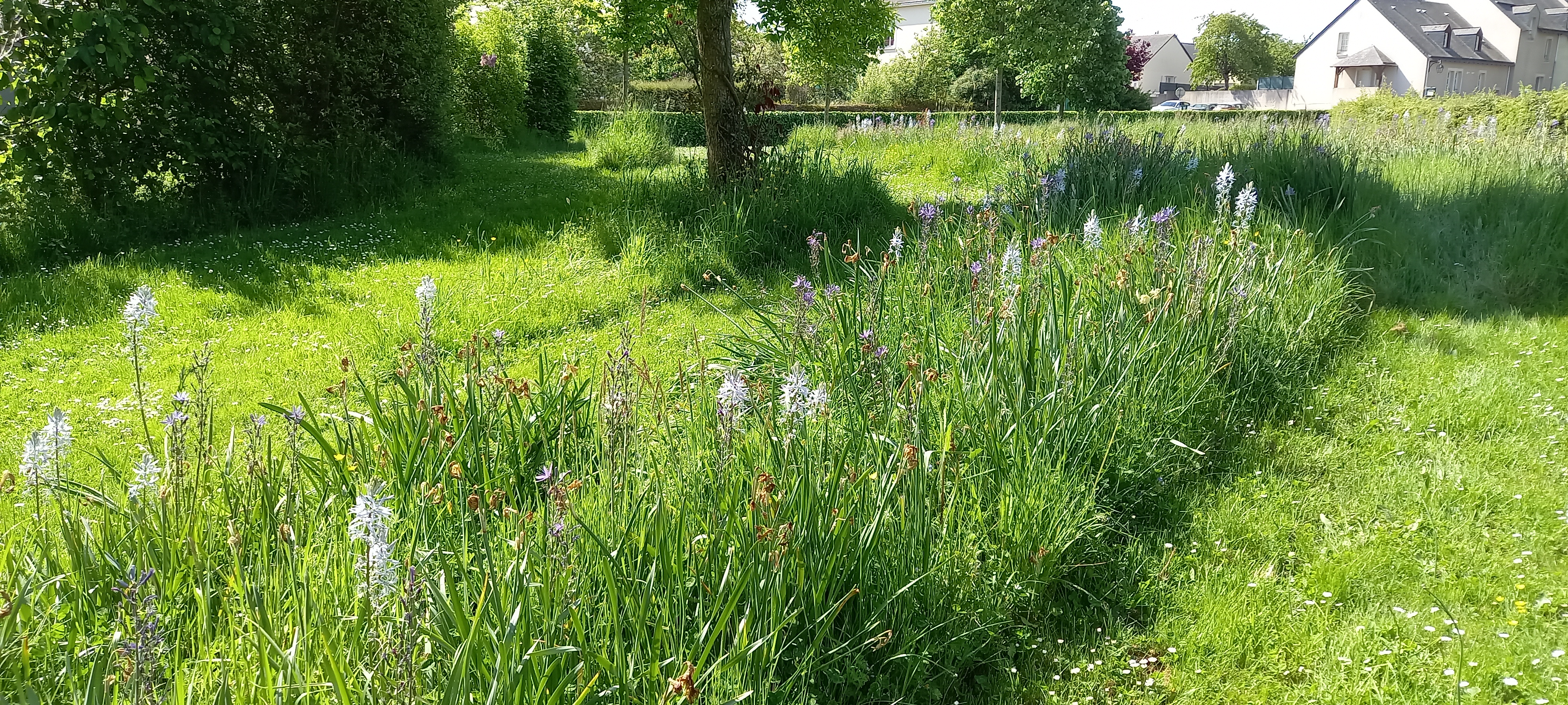 Photo n° 11 de l'avis de Philippe.h fait le 07/05/2022 à 08:38