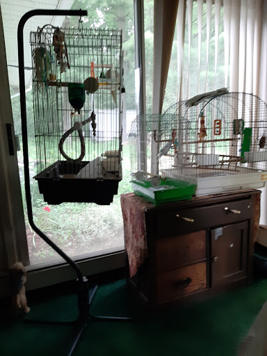 Pet Store «Pet Paradise», reviews and photos, 35535 Euclid Ave # 10, Willoughby, OH 44094, USA