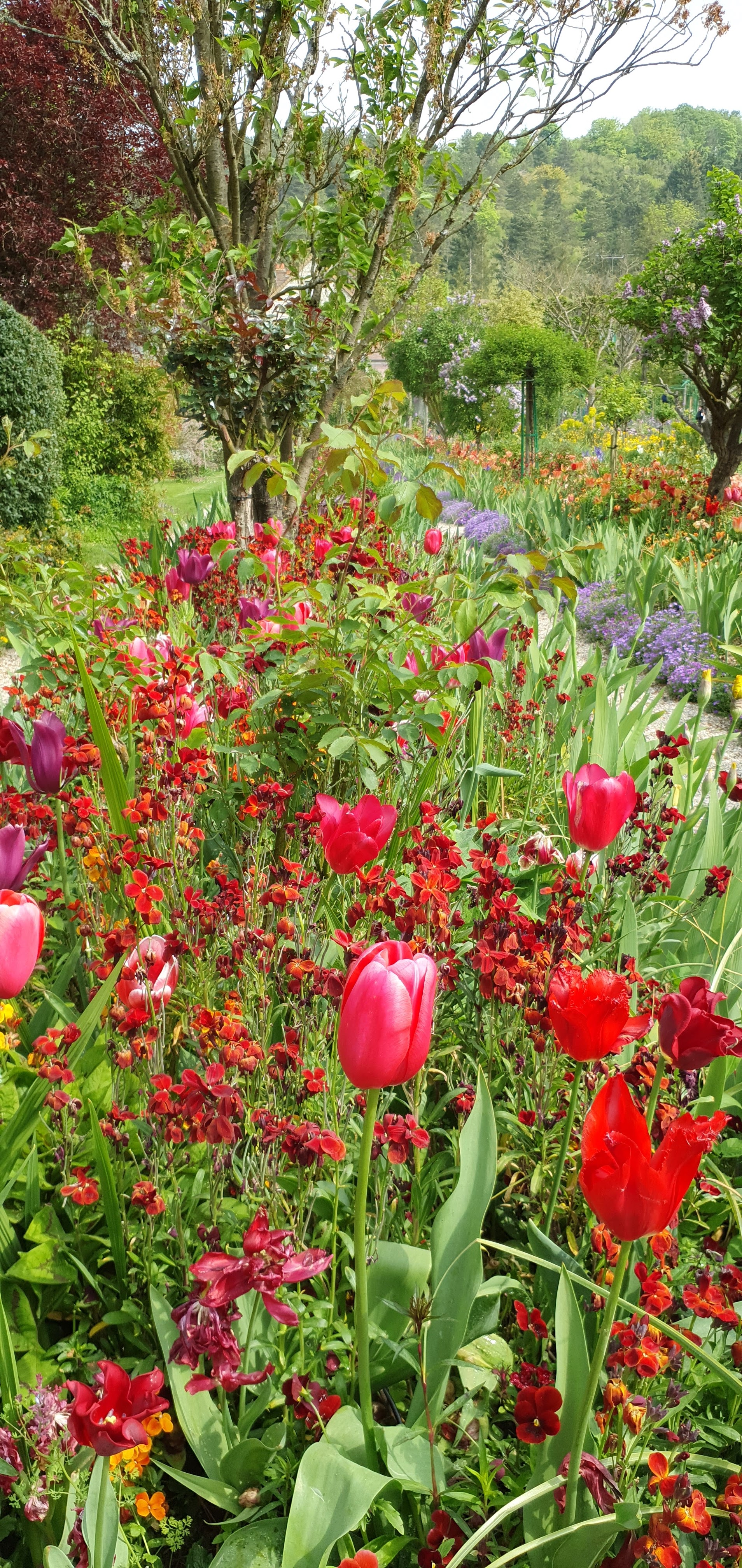 Photo n° 5 de l'avis de CS.. fait le 03/06/2022 à 19:41