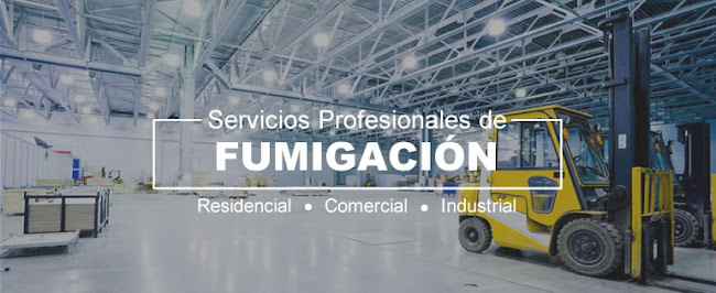 Opiniones de FUMIGACIONES FLASHCOM en Quito - Empresa de fumigación y control de plagas