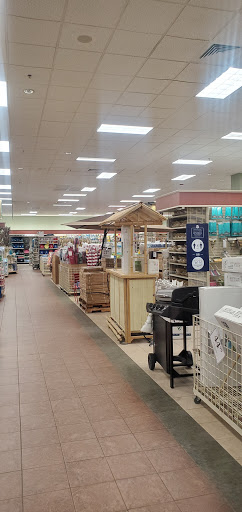 Home Goods Store «Christmas Tree Shops», reviews and photos, 340 Patriot Pl, Foxborough, MA 02035, USA