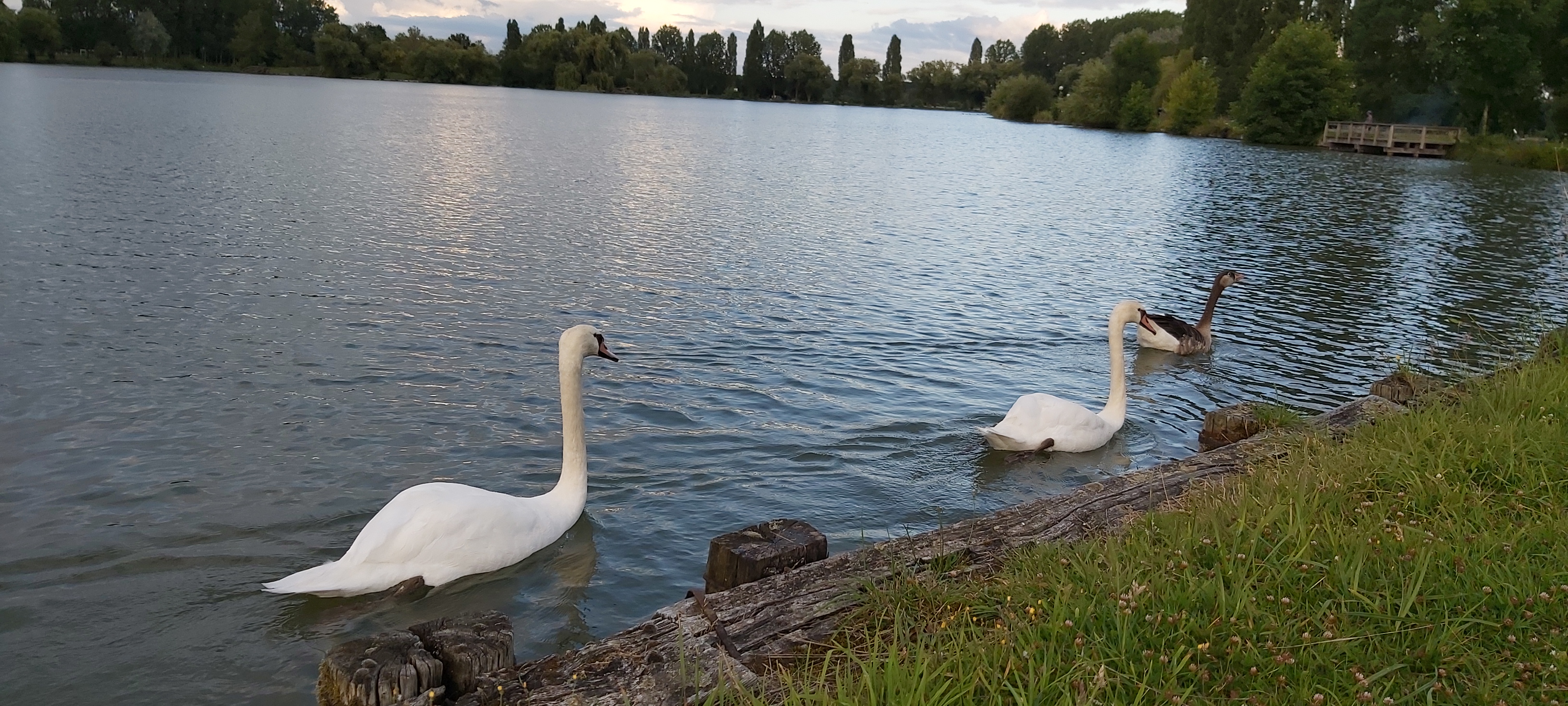 Photo n° 6 de l'avis de K..i fait le 12/08/2021 à 12:54