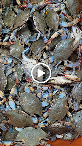 Grocery Store «Ben Thanh Plaza and Central Market», reviews and photos, 1818 E Pioneer Pkwy #100, Arlington, TX 76010, USA