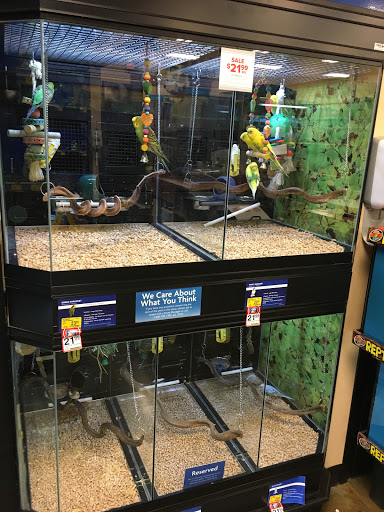 Pet Supply Store «PetSmart», reviews and photos, 24005 U.S. 27, Lake Wales, FL 33859, USA