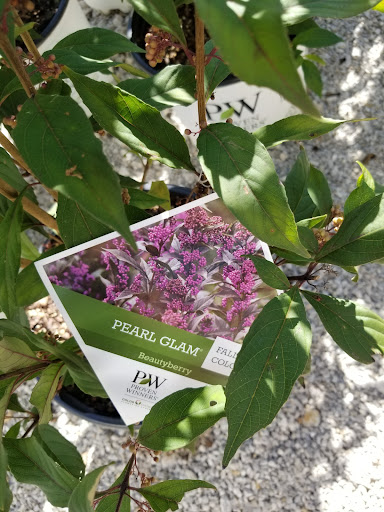 Plant Nursery «Guerin Nursery and Boutique», reviews and photos, 1418 Fall Creek Hwy, Granbury, TX 76049, USA