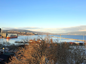 Altıntaş Gemi Acenteliği Deniz Nakliyat