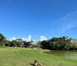 Hard Rock Campo de Golf photo