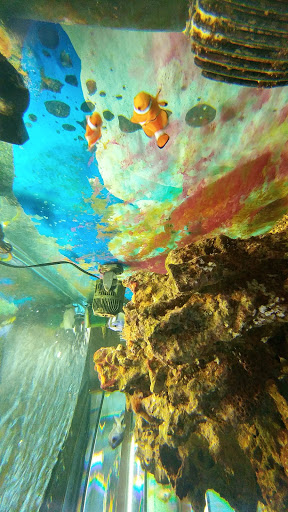 Pet Store «The Pet Works», reviews and photos, 240 14th St, Astoria, OR 97103, USA