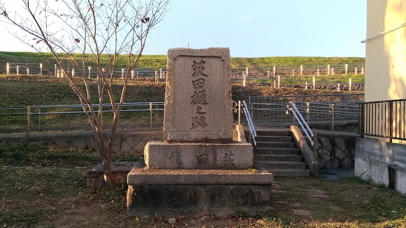 茨田樋遺跡水辺公園