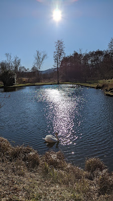 Etang de Falck à Falck