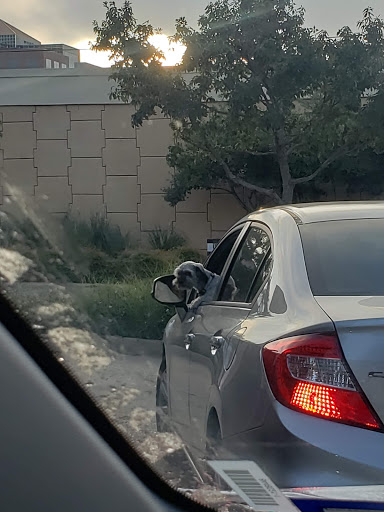 Coffee Shop «Starbucks», reviews and photos, 101 W Campbell Rd, Richardson, TX 75080, USA