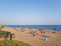 Vartholomio beach'in fotoğrafı doğal alan içinde bulunmaktadır