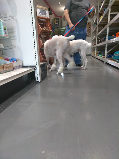 Pet Groomer «Pet Choice», reviews and photos, 4203 MacArthur Blvd, Oakland, CA 94619, USA