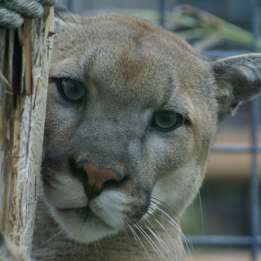 Rolling Hills Zoo