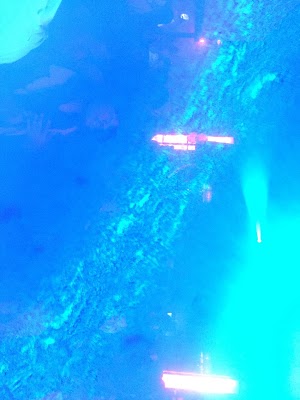XO nightclub - photo 23