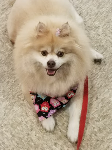 Pet Supply Store «PetSmart», reviews and photos, 467 Cross Keys Rd, Sicklerville, NJ 08081, USA